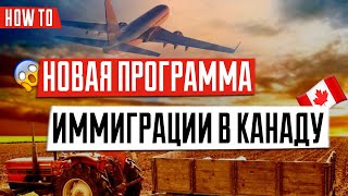 Аграрный пилот canada agriculture pilot program, Agri-Food Pilot, Иммиграция в Канаду